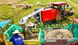 垫江吃瓜最新事件爆料新闻,揭秘背后惊人真相