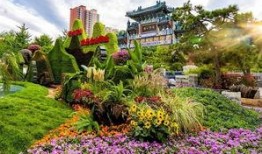 洛阳植物园爆料视频,探秘植物王国，自然之美尽收眼底